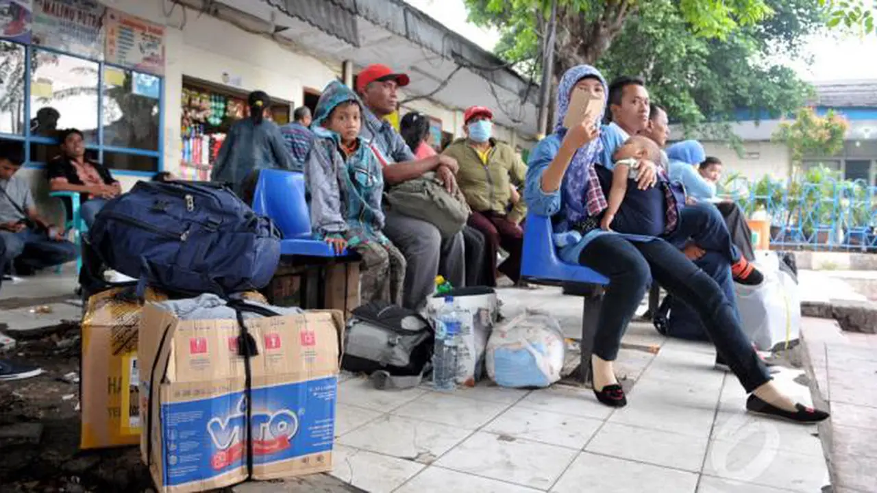 pemudik