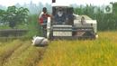 Petani memanen padi jenis IR 54 menggunakan mesin produk China di Galuh, Kulon Progo, Yogyakarta, Kamis (2/2/2020). Mesin yang disewa seharga Rp 500 ribu untuk memanen padi seluas 1.400 meter persegi itu mengefisienkan waktu, tenaga, dan modal dibandingkan tenaga manusia. (merdeka.com/Arie Basuki)