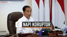TV Napi