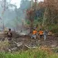 Kebakaran hutan dan lahan di Kalimantan Barat. (Liputan6.com/Raden AMP)