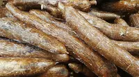 RI Masih Impor Singkong untuk Bahan Baku Industri