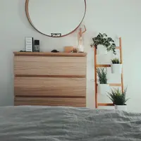 Ilustrasi tanaman hias (unsplash.com/James Lindsay)