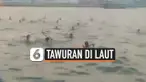 perkelahian di laut thumbnail