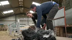 Duchess of Cambridge Kate Middleton (kiri) mencukur bulu domba saat berkunjung ke Deepdale Hall Farm, sebuah peternakan domba tradisional di Patterdale, Cumbria, Inggris, Selasa (11/6/2019). (Owen Humphreys/POOL/AFP)