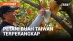 Ekspor buah-buahan Taiwan ke Tiongkok terhambat akibat pembatasan impor oleh Beijing. Meski pembatasan ini sudah dicabut tapi pasar belum pulih dan banyak petani buah Taiwan merasa terperangkap dalam ketegangan politik antara Beijing dan Taipei. Beri...