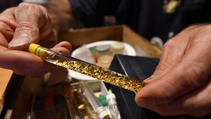 Penambang emas amatir David Bruno menunjukkan bongkahan emas hasil mendulang emas di rumahnya, Le Bosc, dekat Foix-en-Ariege, Prancis, 24 Agustus 2020. Pendulangan emas sangat diatur di Departemen Ariege Prancis dan dicadangkan untuk penambang emas amatir. (GEORGES GOBET/AFP)