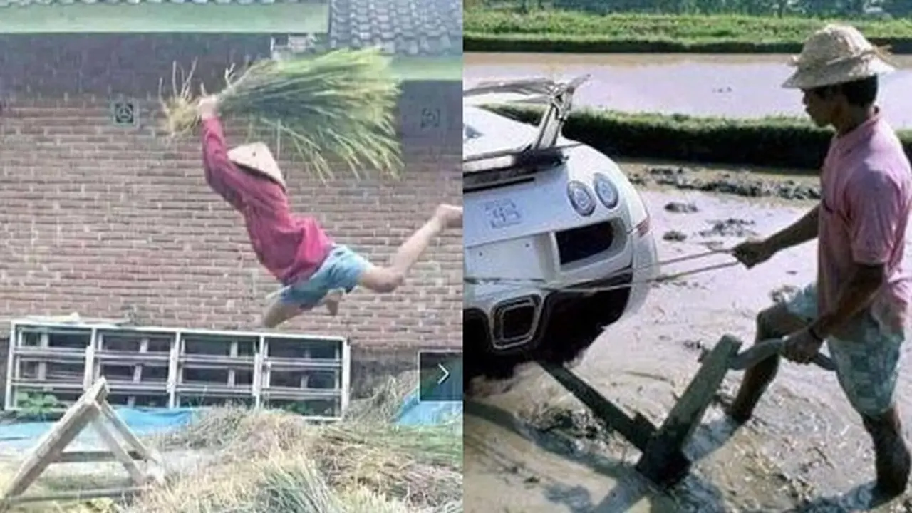 6 Tingkah Petani Terlalu Semangat Bekerja Ini Bikin Ngakak