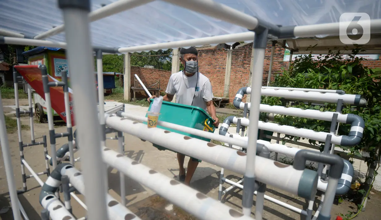 Jalan Raya Parung-Gunung Sindur, Bogor, Jawa Barat, Jumat (21/08/2020). Rakitan pipa PVC hidroponik dan ditambah mesin pompa air dijual dengan harga Rp 475 Ribu hingga Rp 1.3 Juta tergantung ukuran. (merdeka.com/Dwi Narwoko)