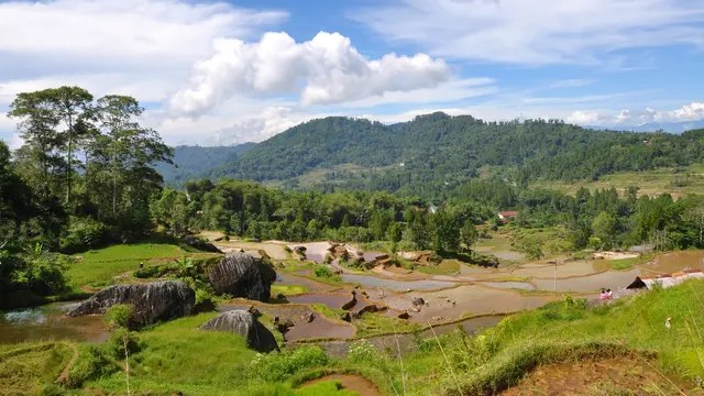 [Bintang] Toraja