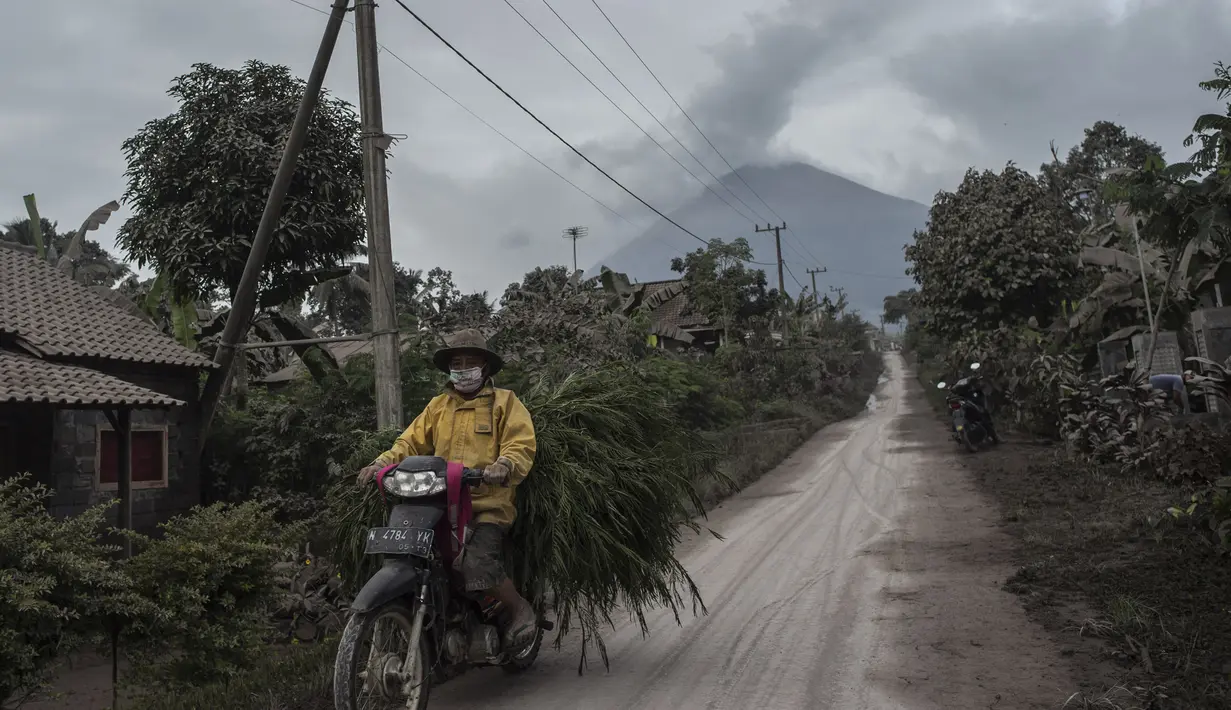 Gunung Semeru menjulang sehari setelah erupsi di atas desa Lumajang, Jawa Timur, pada Minggu (17/1/2021). Kendati demikian, Pusat Vulkanologi dan Mitigasi Bencana Geologi ( PVMBG) menegaskan status Semeru masih level II atau Waspada. (Juni Kriswanto / AFP)