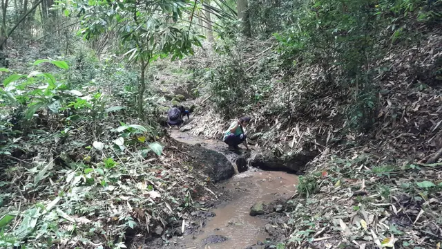 Sumber mata air Dilem Paring, Kalipuro , Banyuwangi yang akan direvitalisasi  (Hermawan Arifiantop/Liputan6.com)