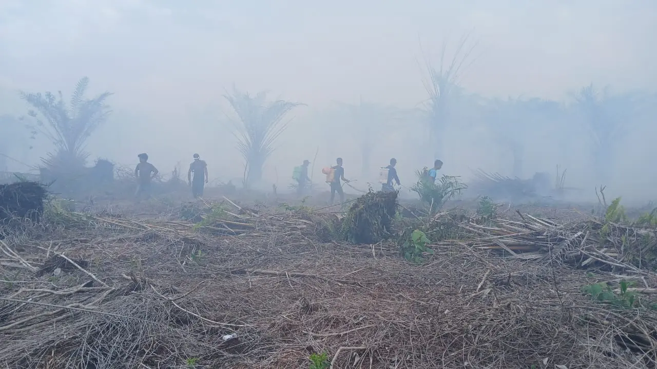 Karhutla Jambi