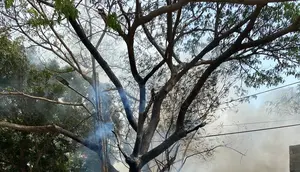 Gara-Gara Bakar Sampah Sembarangan, Api Melahap Warung dan Mobil di Tangerang