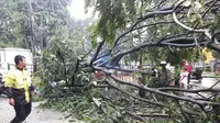 Pohon tumbang di Jalan Abdullah bin Nuh, Kota Bogor, Jawa Barat, Sabtu (23/2/2019) sore. (Liputan6.com/Achmad Sudarno)