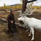Suku Dukha: Penggembala Rusa Kutub yang Tersisa di Muka Bumi (AFP)