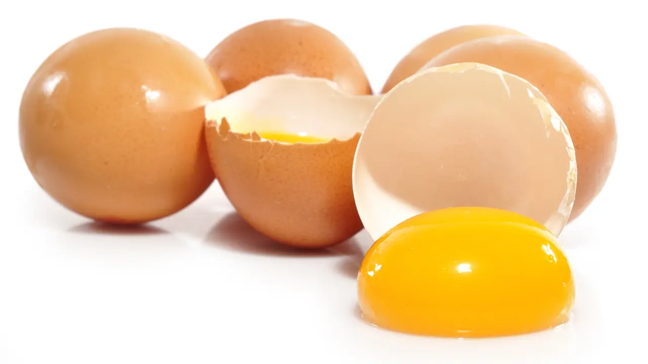 Telur