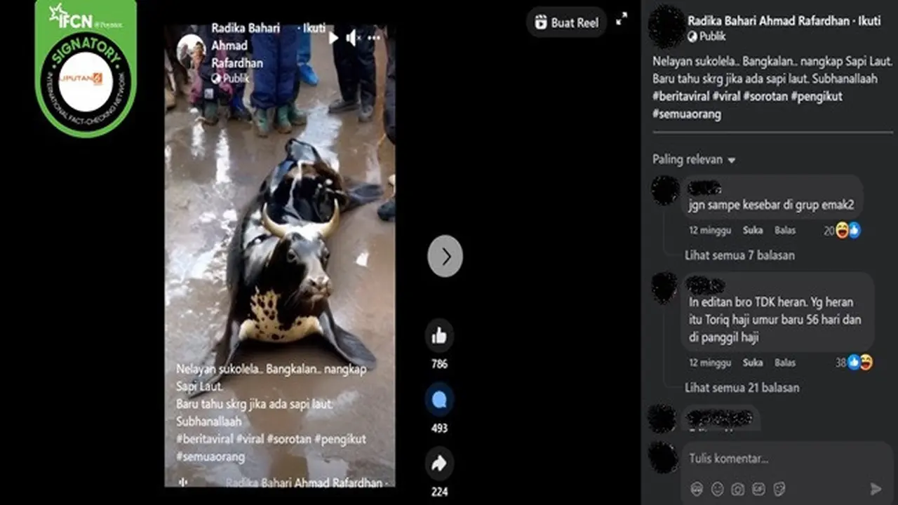 Gambar tangkapan layar video yang diklaim hewan 'sapi laut' terdampar di Bangkalan, Madura, Jawa Timur. (sumber: Facebook)