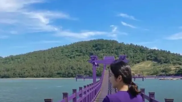 Purple Island