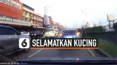 Momen mengharukan terjadi di Bangkok, Thailand. Di mana seorang pemuda nekat menghentikan mobilnya di tengah jalan demi menyelamatkan seekor anak kucing.