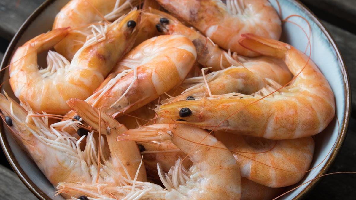 Teknik Membekukan Udang ala YouTuber, Dijamin Awet