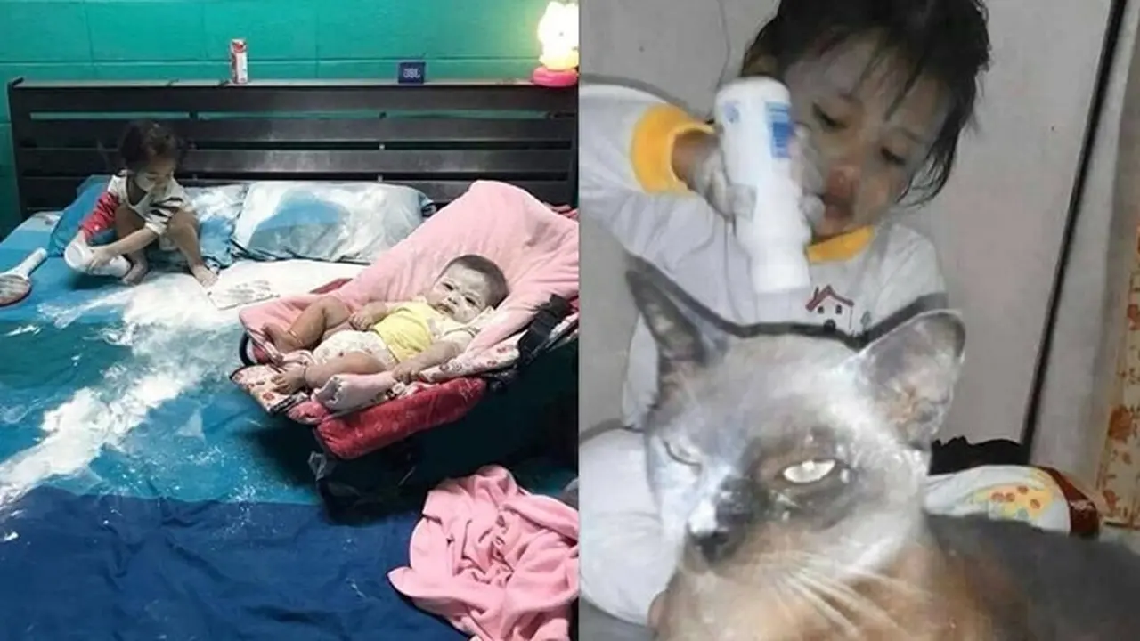 6 Potret Bocah Mainan Bedak Ini Bikin Orang Tua Senyum Tipis, Kocak