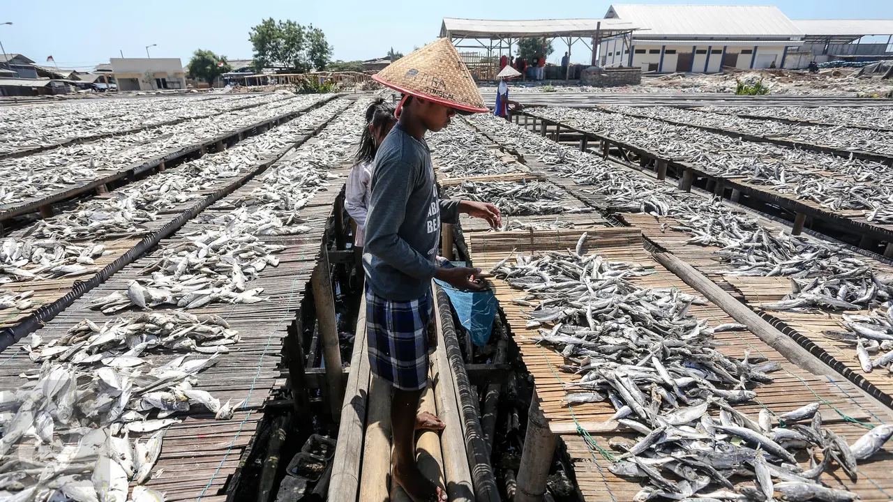 20150803-Musim Kemarau, Produksi Ikan Asin Meningkat -Jakarta
