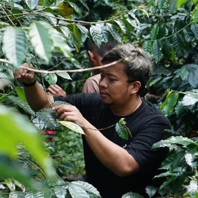 Influencer Irfan Rahadian Sorot Efek Perubahan Iklim Terhadap Kopi ...