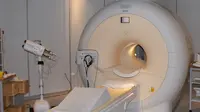 Seperti apa penampakan dalam tubuh manusia ketika sedang melakukan hubungan seks? Ayo intip dengan menggunakan mesin MRI.