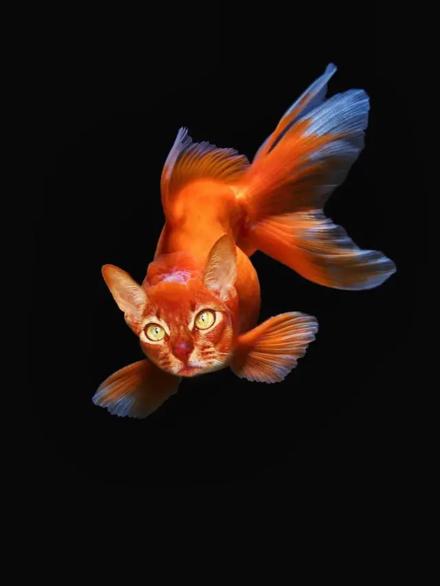 6 Editan Foto Ikan Berwajah Hewan Darat Ini Absurd Banget, Kocak