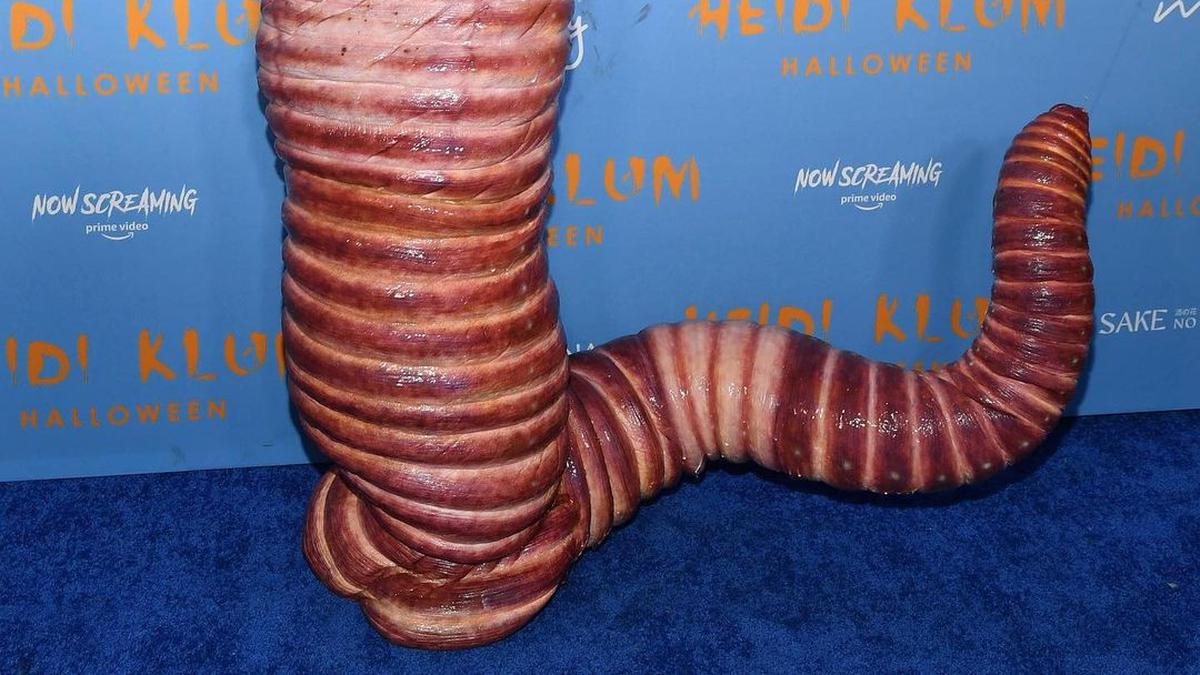 apakah halloween haru memakai kostum seram