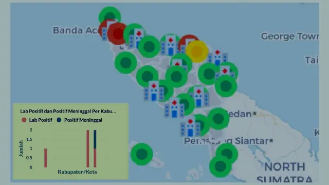 Sebaran Covid-19 di Aceh berdasarkan hasil tangkapan di laman resmi Pemerintah Aceh (Liputan6.com/Rino Abonita)