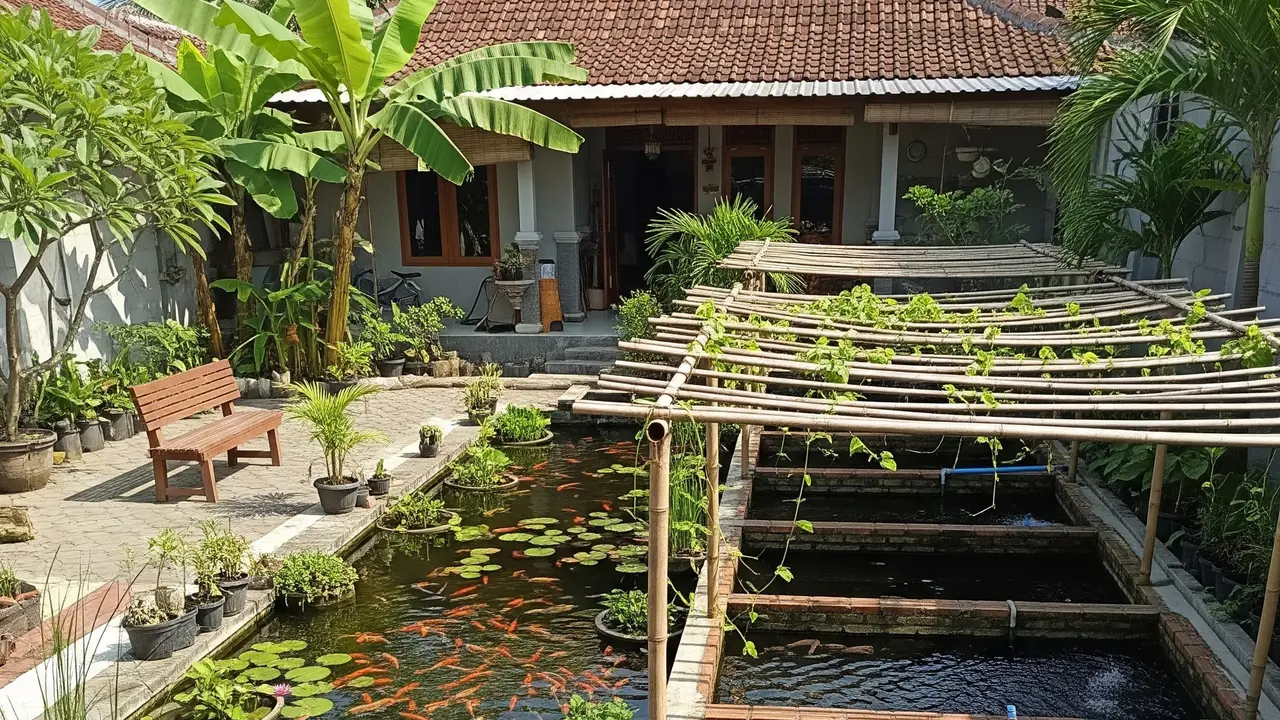 Ternak Ikan Hias vs Ikan Konsumsi