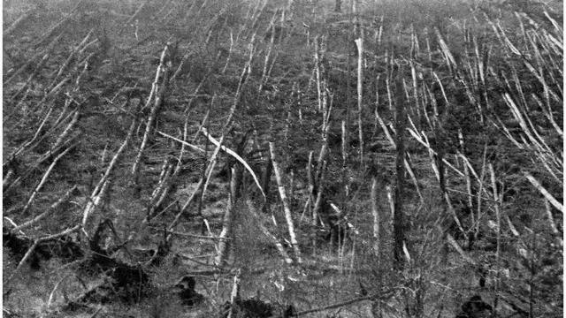 Dampak insiden Tunguska