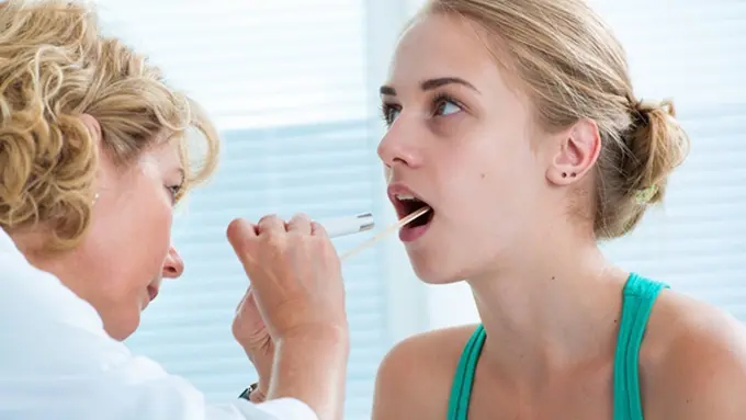 copyright by shutterstock.com