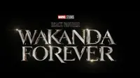 Black Panther: Wakanda Forever (Foto: Imdb)