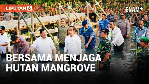 VIDEO: Presiden Jokowi dan Prabowo Subianto Nyemplung Bareng Tanam Pohon Mangrove