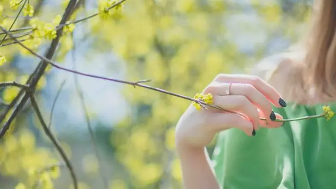 ilustrasi copyright pexels.com/ Natalie