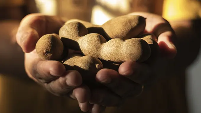 Photo: Copyright Thinkstockphotos.com