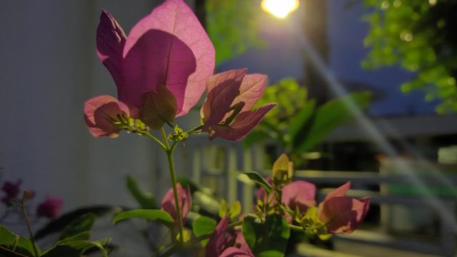 Hasil foto dengan Night Mode di Samsung Galaxy M22 (Liputan6.com/Giovani Dio PrasastI)