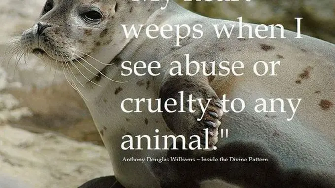 [Bintang] Coba Hentikan Aksi Penyiksaan Hewan, Wanita Ini Malah Ditonjok