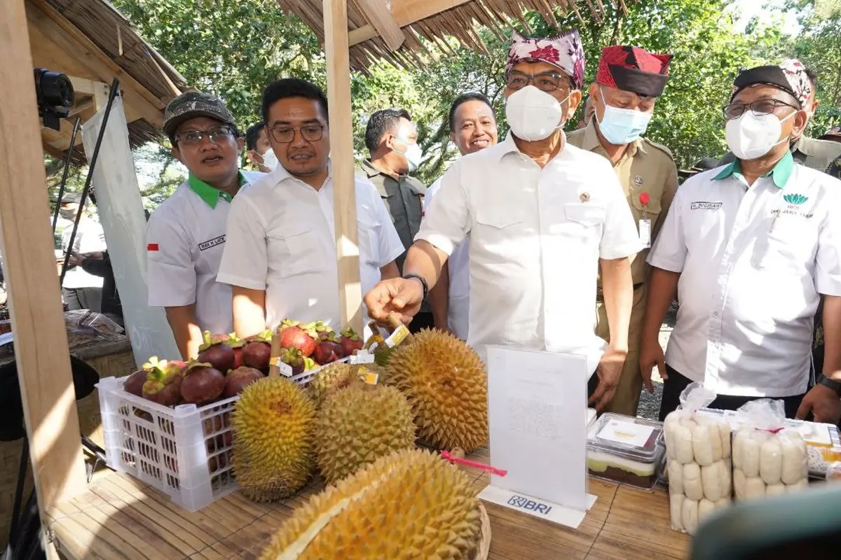 Kepala Stap Kepresidenan yang juga Ketua HKTI Moldoko meninjau pameran holtikultura di wisata Djawatan Banyuwangi (Istimewa)