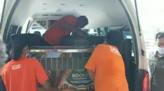 Dari Apartemen di India, Rocky si Orangutan Akhirnya Pulang ke Indonesia