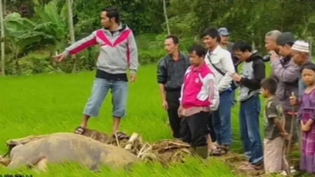 [VIDEO] Longsor dan Banjir Bandang Landa Purbalingga