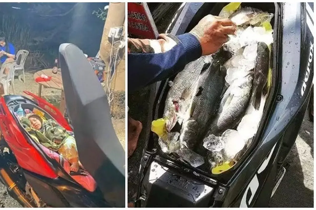 6 Potret Alih Fungsi Jok Motor Ini Bikin Tepuk Jidat, Enggak Habis Pikir
