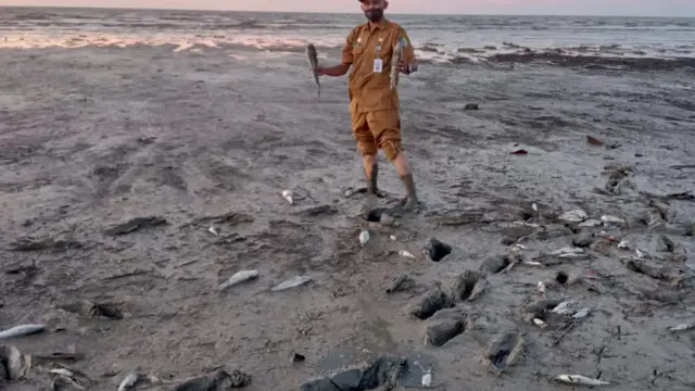 Ikan Mati