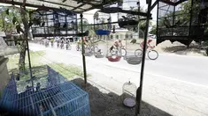 Deretan burung dalam sangkar yang dijual pedagang menjadi daya tarik tersendiri pada etape ke-5 Tour de Singkarak dari Pantai Carocok-Painan menuju pantai Gondoriah-Pariaman, Sumatera Barart. (Bola.com/NIcklas Hanoatubun) 