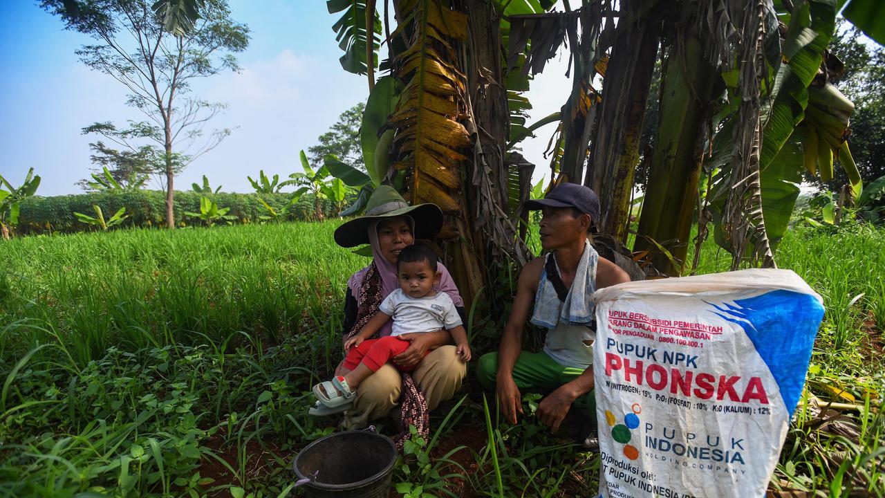 Distribusi Pupuk Subsidi kepada Petani Mulai Lancar
