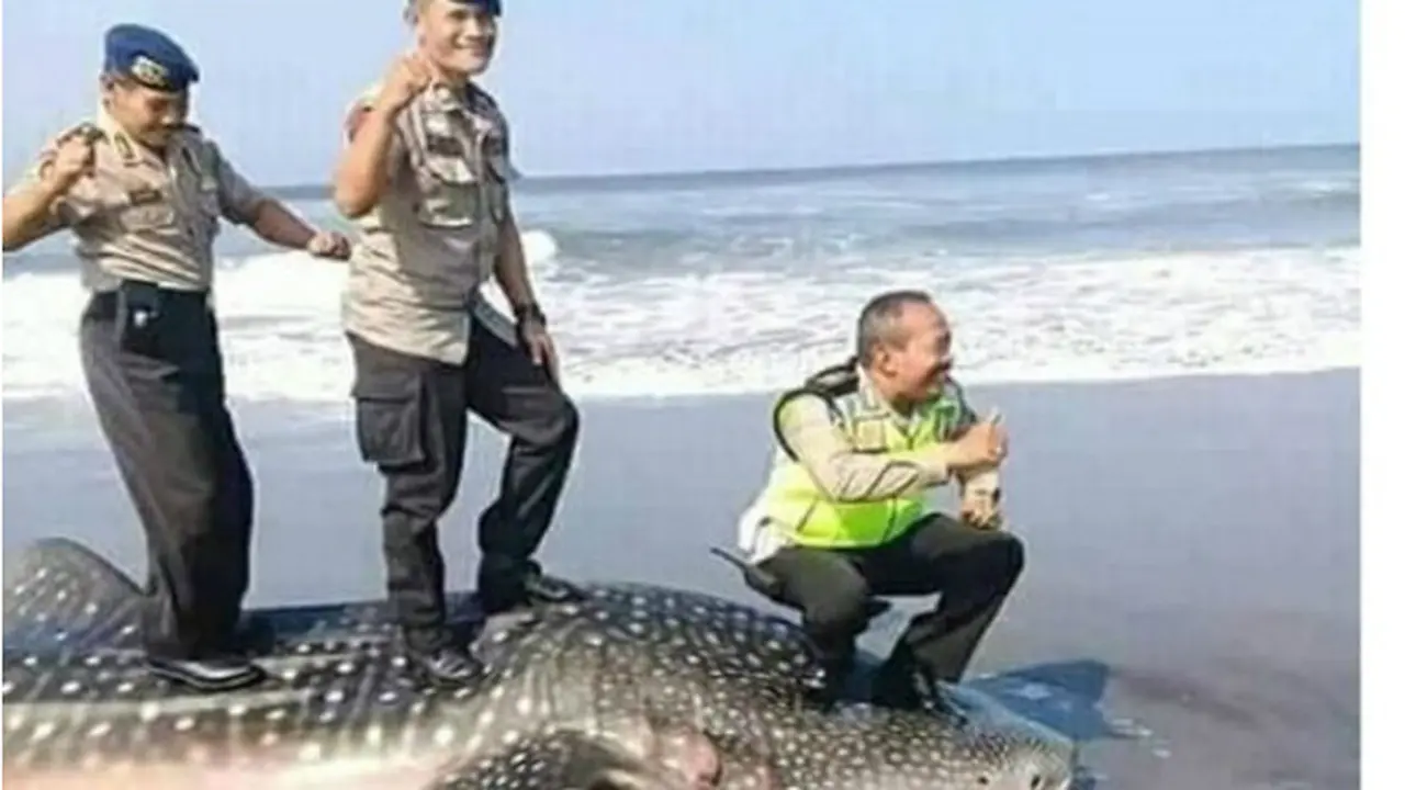 Berfoto Injak Hiu Paus, 3 Polisi Dikecam