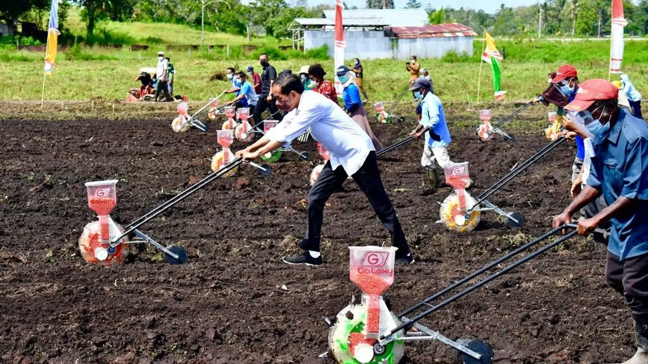 Presiden Joko Widodo atau Jokowi Di Papua.