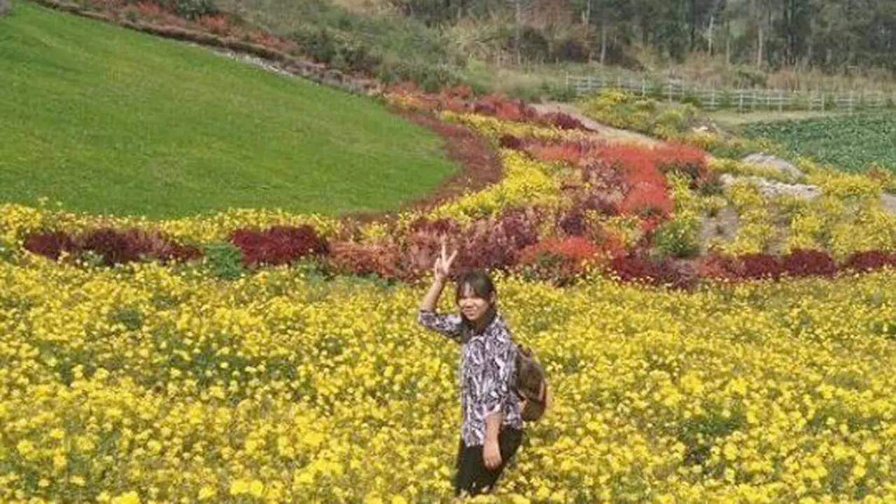 Sapo Juma, Taman Cantik yang Jadi Spot Swafoto Paling Kece